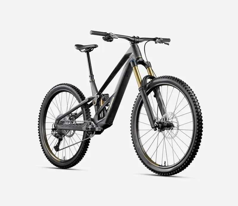 Orbea Rallon RS-Team Mullet E-MTB In Fuel Carbon View/Magic Gold Matt-1