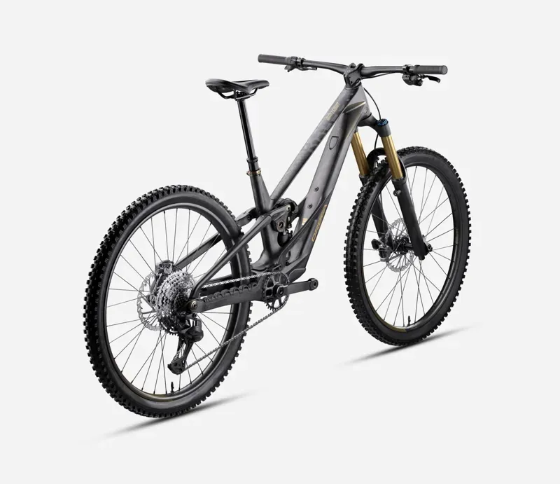 Orbea Rallon RS-Team Mullet E-MTB In Fuel Carbon View/Magic Gold Matt-2