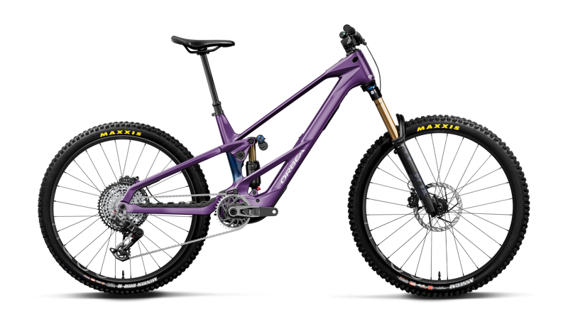 Wild/M Lt M-Team Rs Royal Plum-ctiluca C.View
