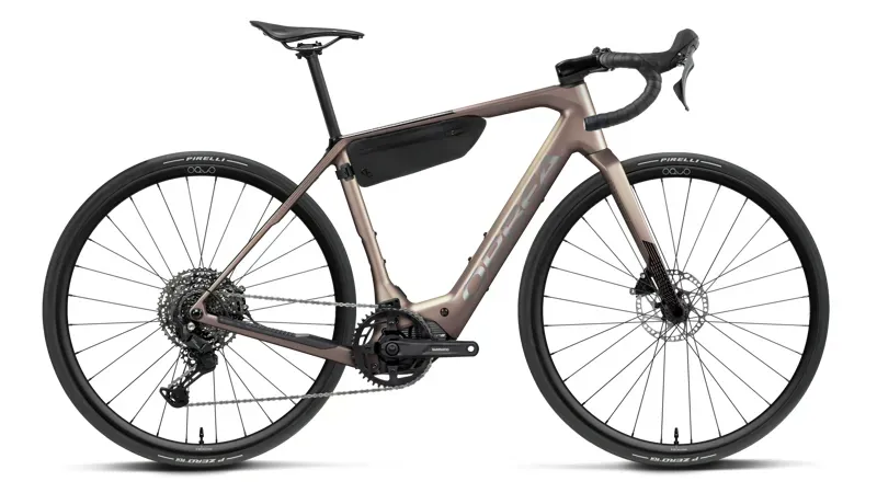 Orbea Denna M40 Gravel eBike in Nickel - Carbon Raw